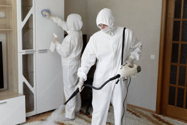 24/7 Emergency Odor Removal experts in Coopersville, MI