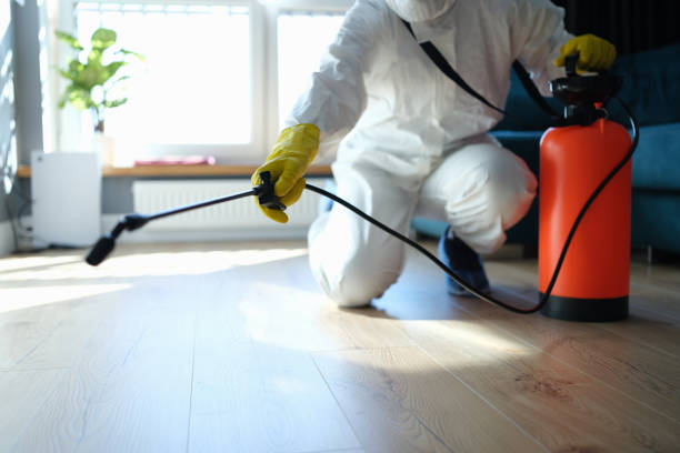 Reliable Odor Removal contractor in Coopersville, MI by Trauma Clean Pros